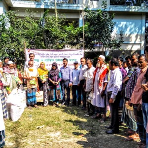 বিনামূল্যে কৃষি প্রনোদনার বীজ ও সার বিতরণ