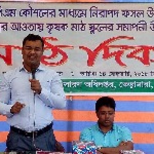 আইপিএম কৃষক মাঠ স্কুলের সমাপনী উপলক্ষে মাঠ দিবস