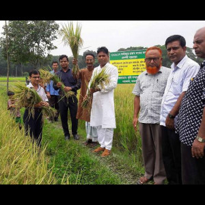 রাজস্ব খাত