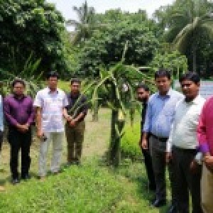 মোঃ আব্দুর রহিম; উপপরিচালক, হর্টিকালচার সেন্টার, বনানী, বগুড়া স্যারের সাথে আমরা বগুড়া জেলার কৃষি সম্প্রসারণ অফিসার বৃন্দ