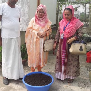 Vermivompost at rooftop